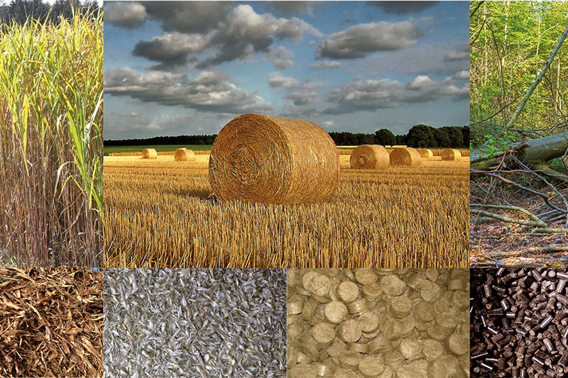 Biomasse zum Heizen